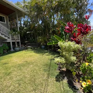 Guest house Private Ohana On The Lush Hamakua Coast With Ac, Honokaa